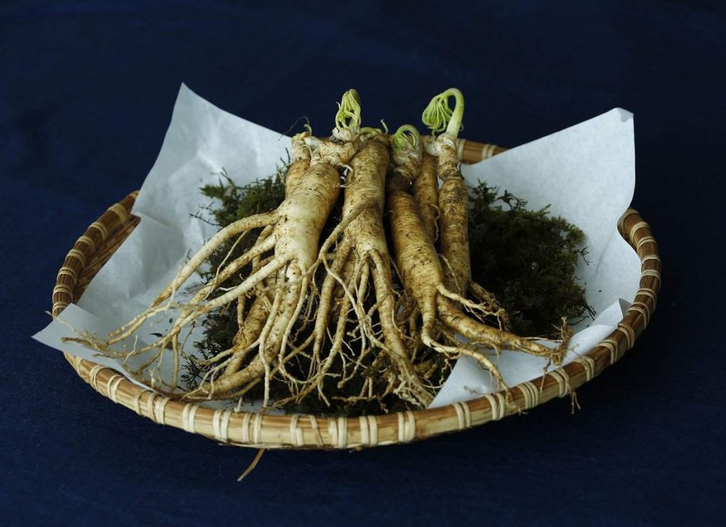 Ginseng: proprietà e benefici