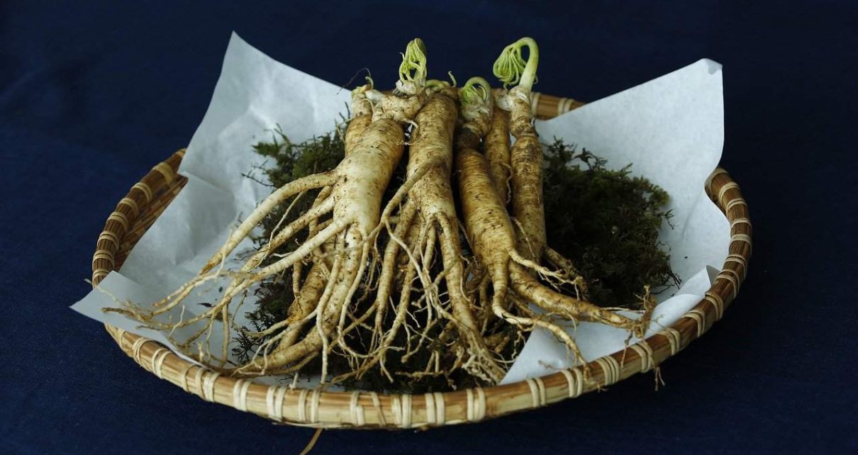 Ginseng: proprietà e benefici