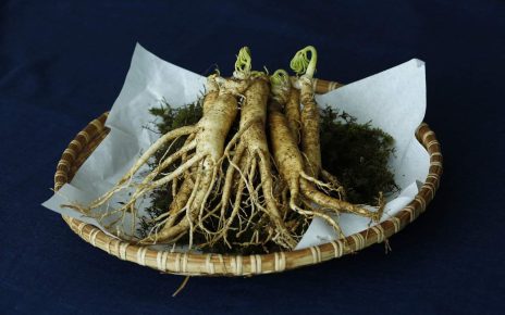 Ginseng: proprietà e benefici