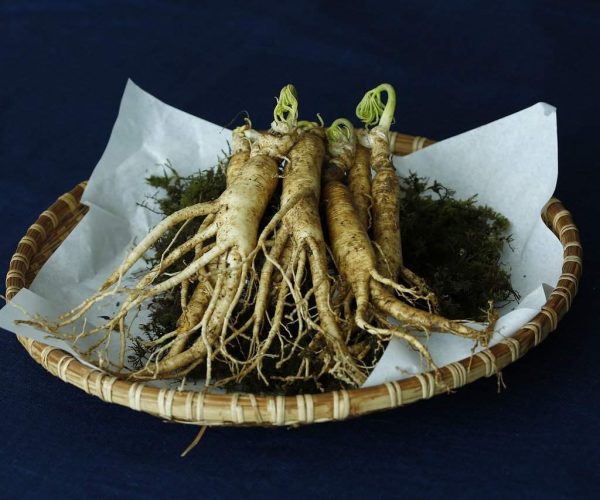 Ginseng: proprietà e benefici