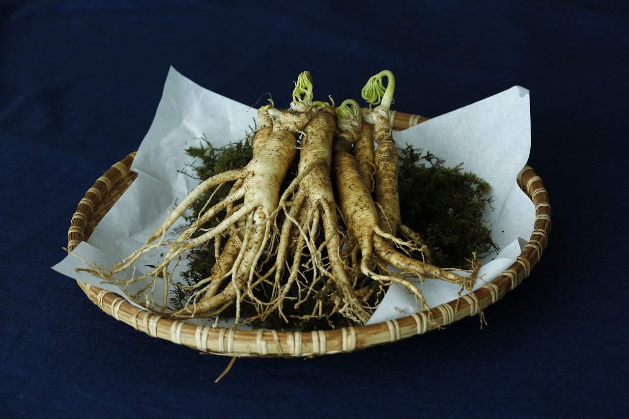 Ginseng: proprietà e benefici